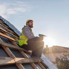 Best Roof Insulation Installation  in Dudley, NC